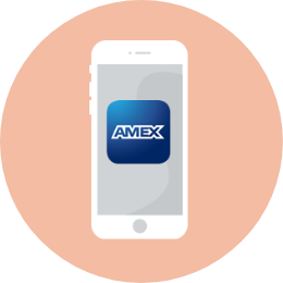 Amex Everyday Payments Hub | American Express India